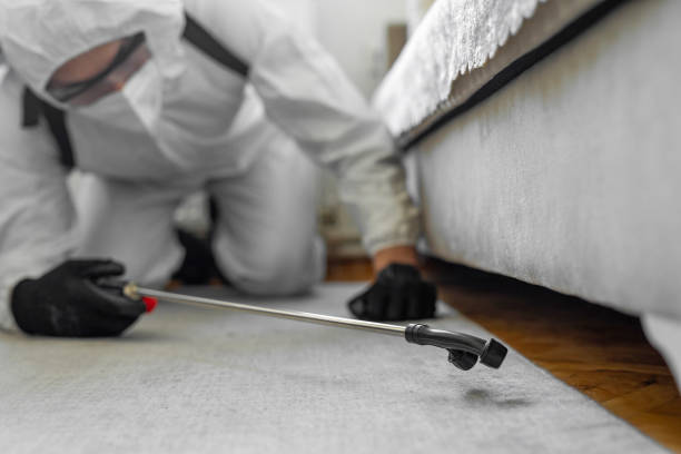 Professional Bed Bug Control technician working in Ellsworth, WI